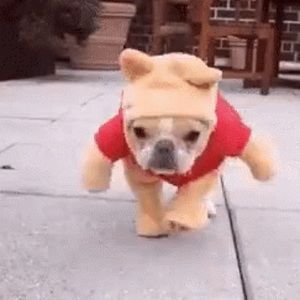 Meet your Posher, Jason